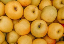 가을의 중요성: 신체와 정신의 균형 a pile of potatoes