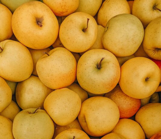 가을의 중요성: 신체와 정신의 균형 a pile of potatoes