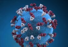 여성 건강관리, 나를 지키는 첫 걸음 pink and white flower petals