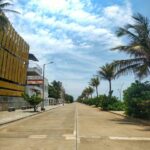 짧은 산책의 힘, 일상 속 건강을 챙기는 작은 변화 a street with palm trees and buildings