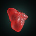 간 건강의 경고등 — ‘비알코올성 지방간’이 늘고 있다 a red substance floating on top of a black surface